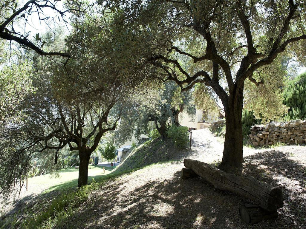 Villa Bernadette San Mauro Cilento Dış mekan fotoğraf