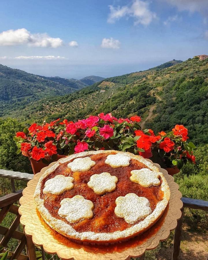 Villa Bernadette San Mauro Cilento Dış mekan fotoğraf